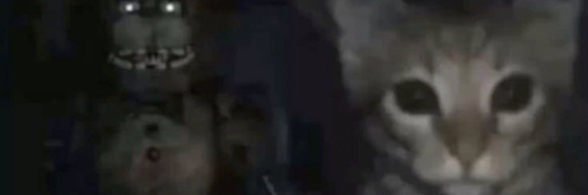 wilkin banner