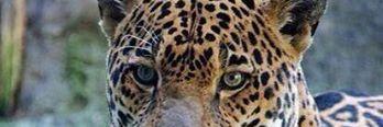 moringo15's profile banner image