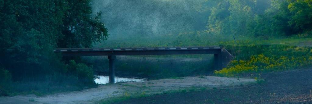 visiondreams's profile banner image