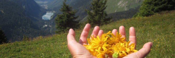 einfach223's profile banner image