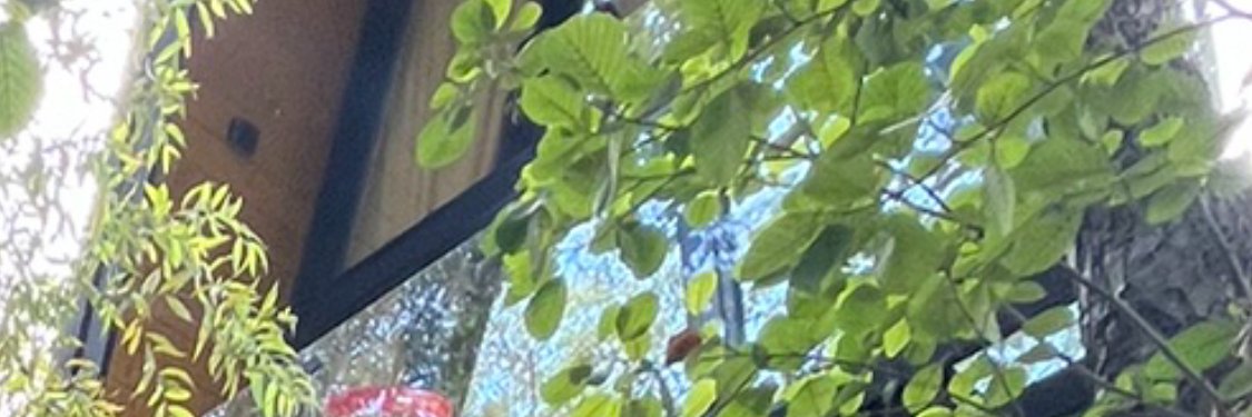 Nasim Travocci banner