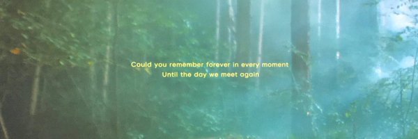 jenamfon Profile Banner