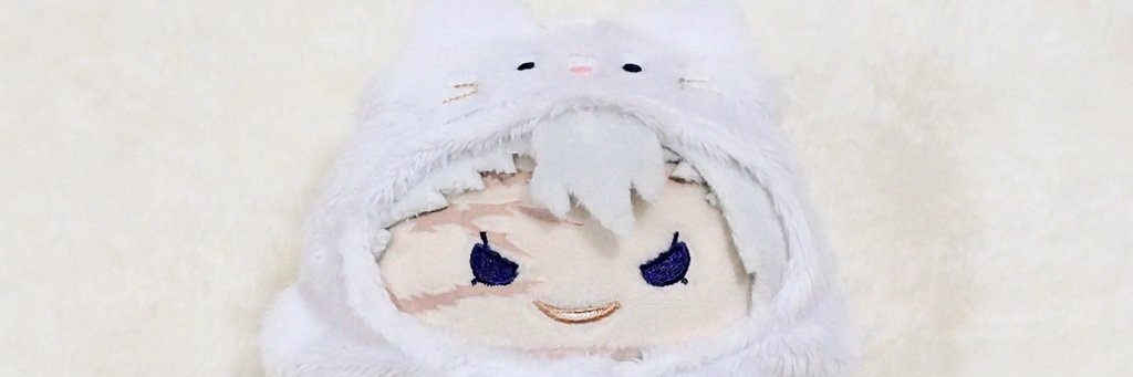 nekohagi🐾 banner