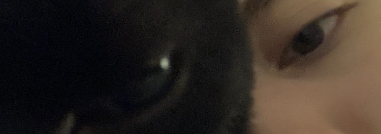 Nox_moscada's profile banner image