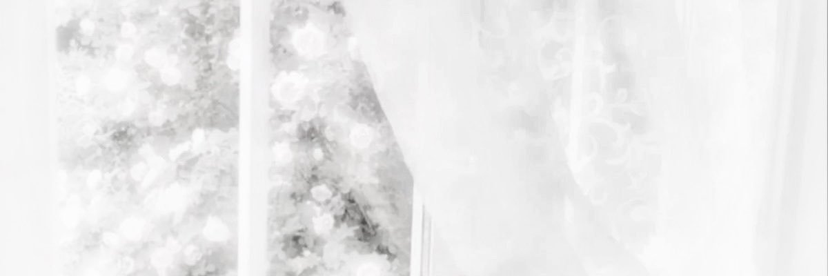 lunirre's profile banner image