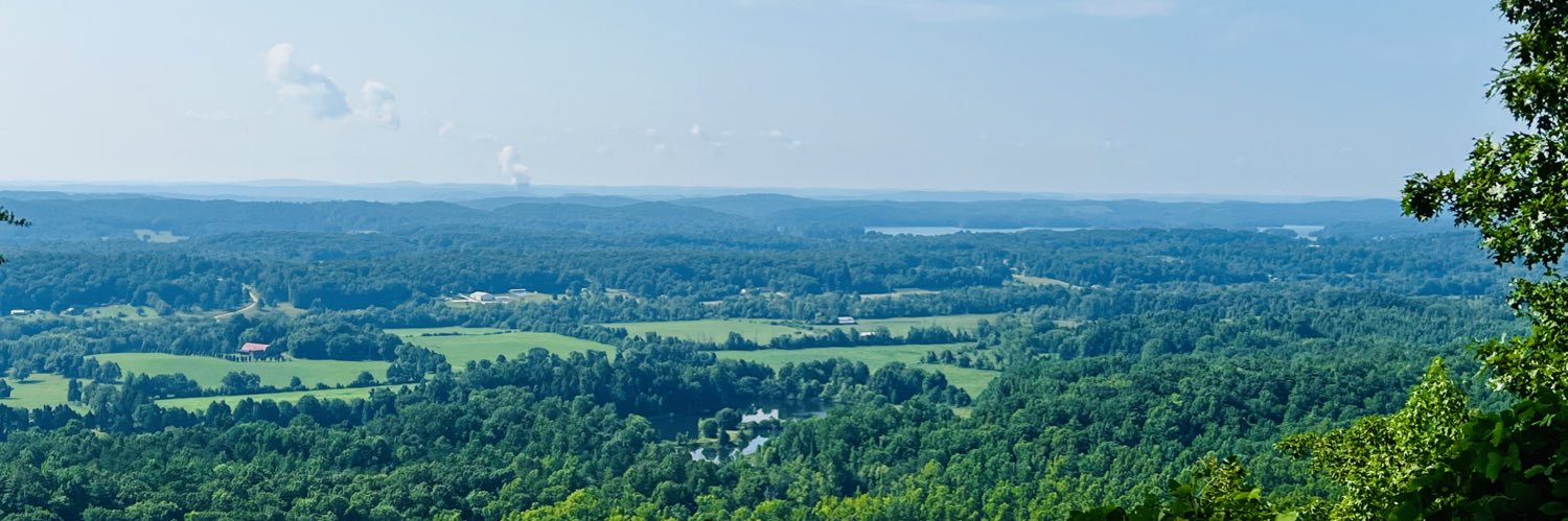 Michael T Johnson banner