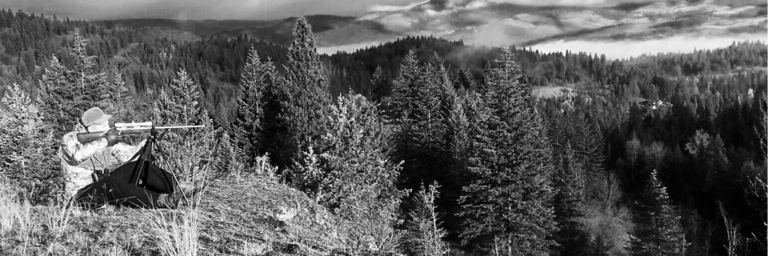 🇺🇸 HRM 🇺🇸 banner