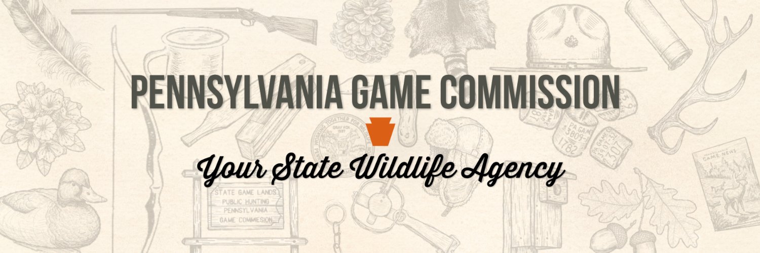 PAGameComm's profile banner image
