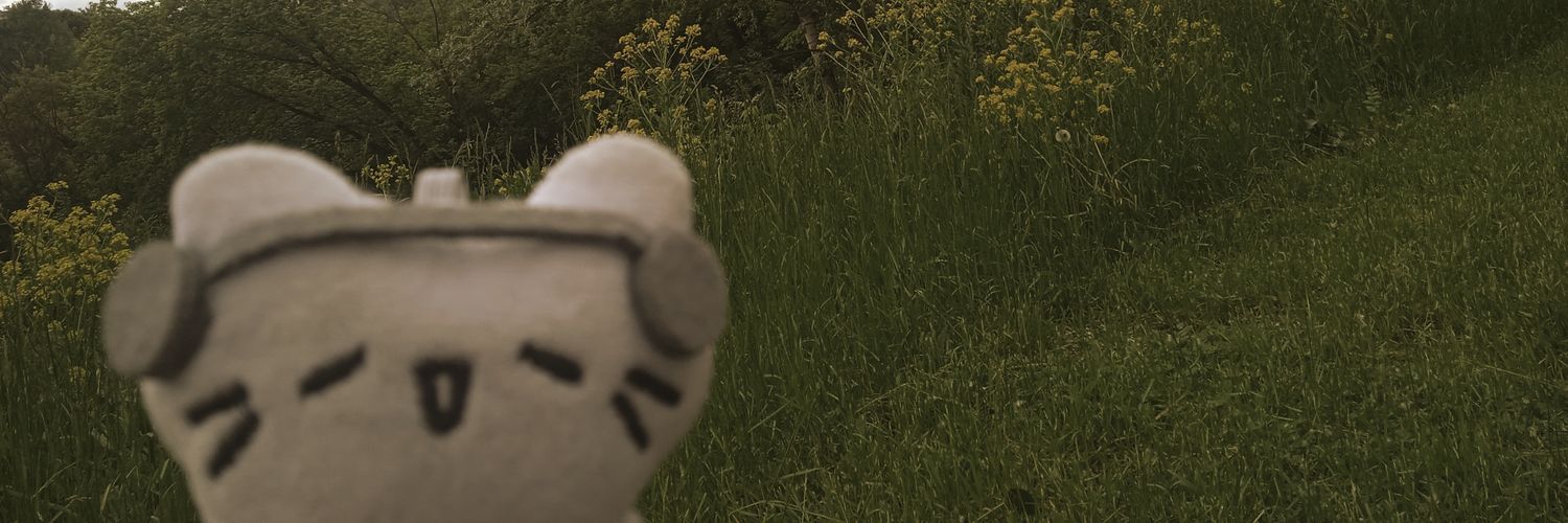D819_E3's profile banner image