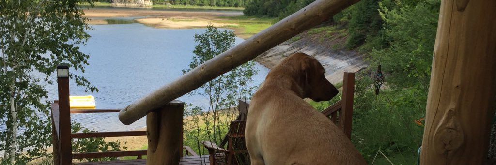 sdoody1's profile banner image