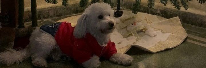 dagoch's profile banner image