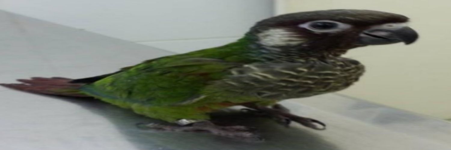 JuanGrowthh's profile banner image