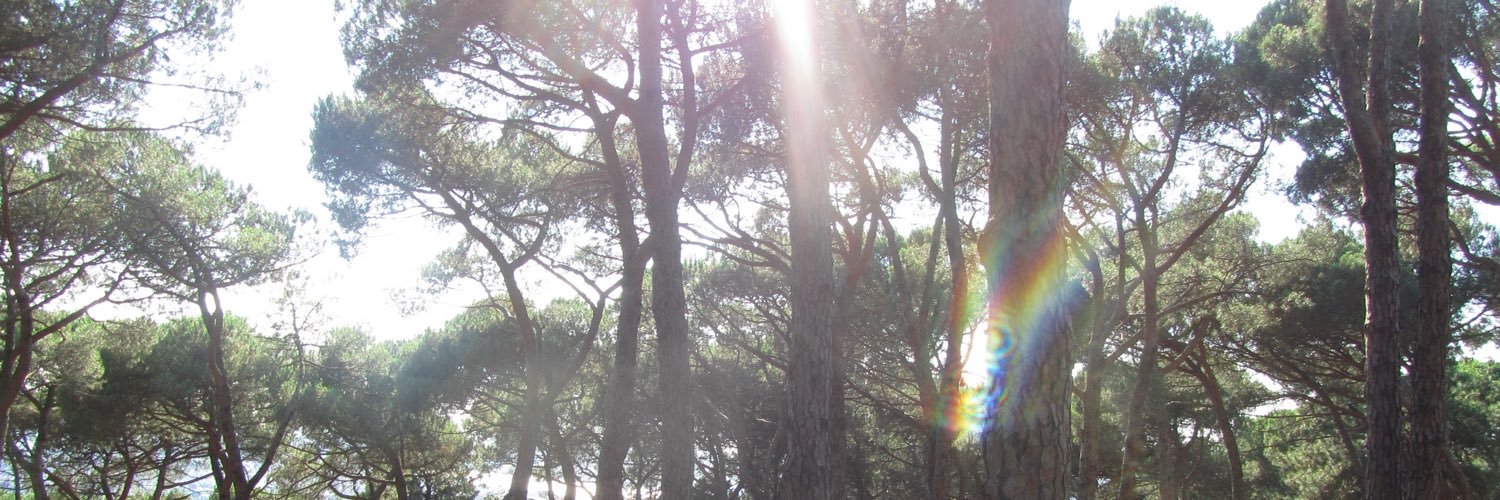 wertyuiopyi's profile banner image