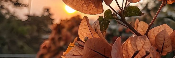 EllenVeneno666's profile banner image