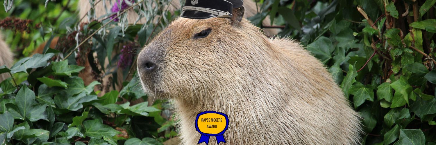 Josda🇦🇷 banner