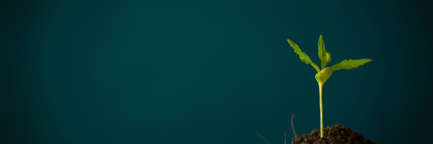 Unity Marguerite banner