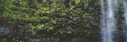 kkimcb33428's profile banner image