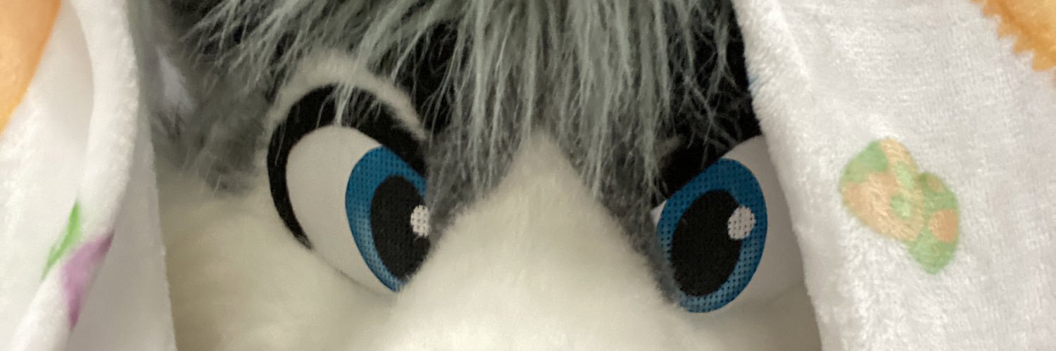 vanillahusky's profile banner image