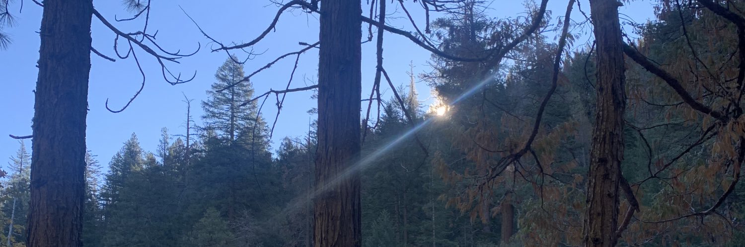 JasonWheeler's profile banner image