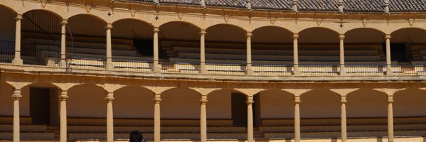 SteveBertrand Profile Banner