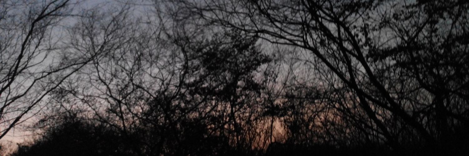 paulavegasc's profile banner image