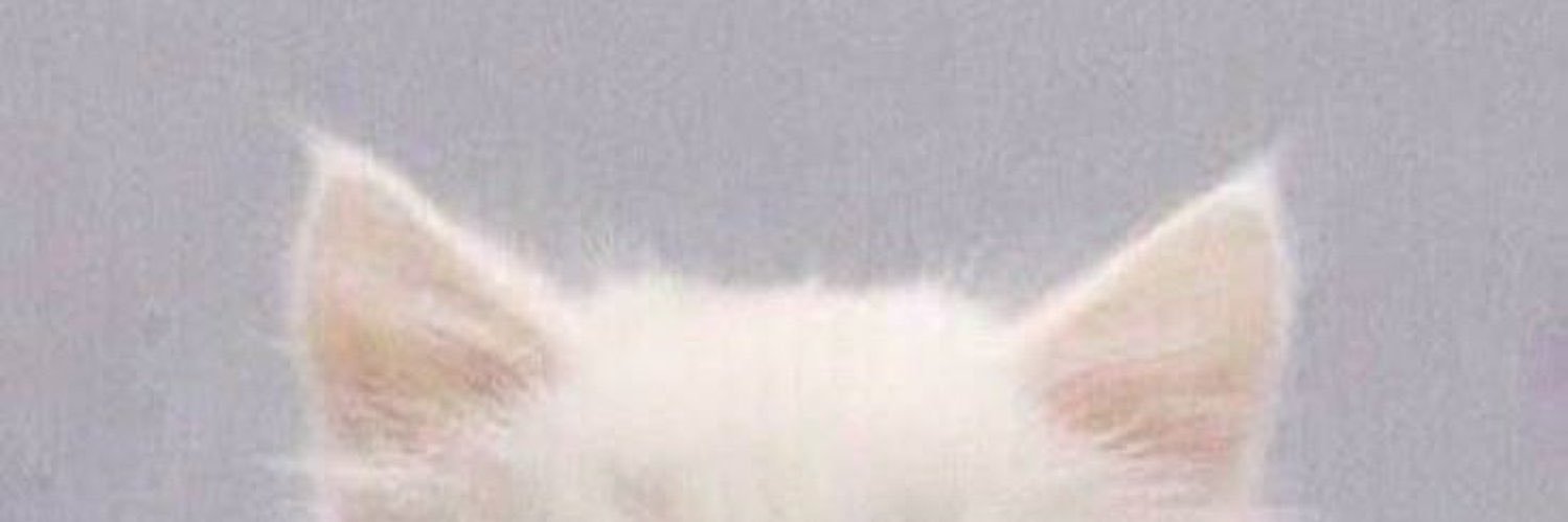 teri banner