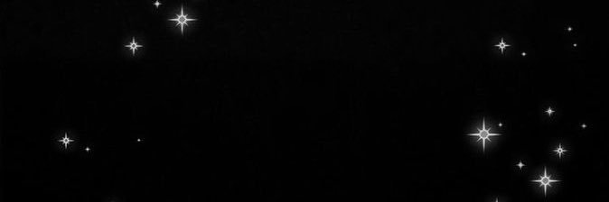 ㄹㅇ ☪︎*｡꙳ banner