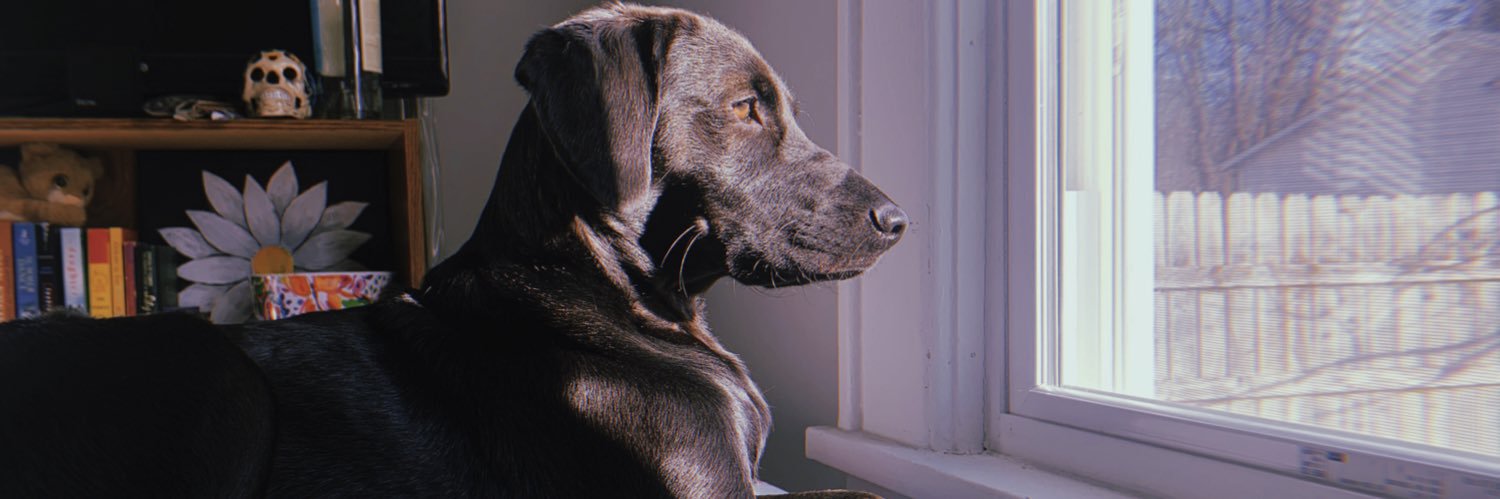 kileyyyd's profile banner image