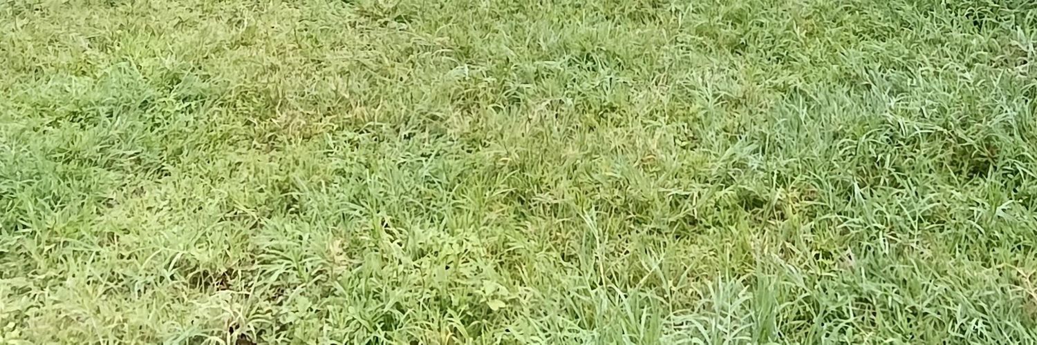 llaco228's profile banner image