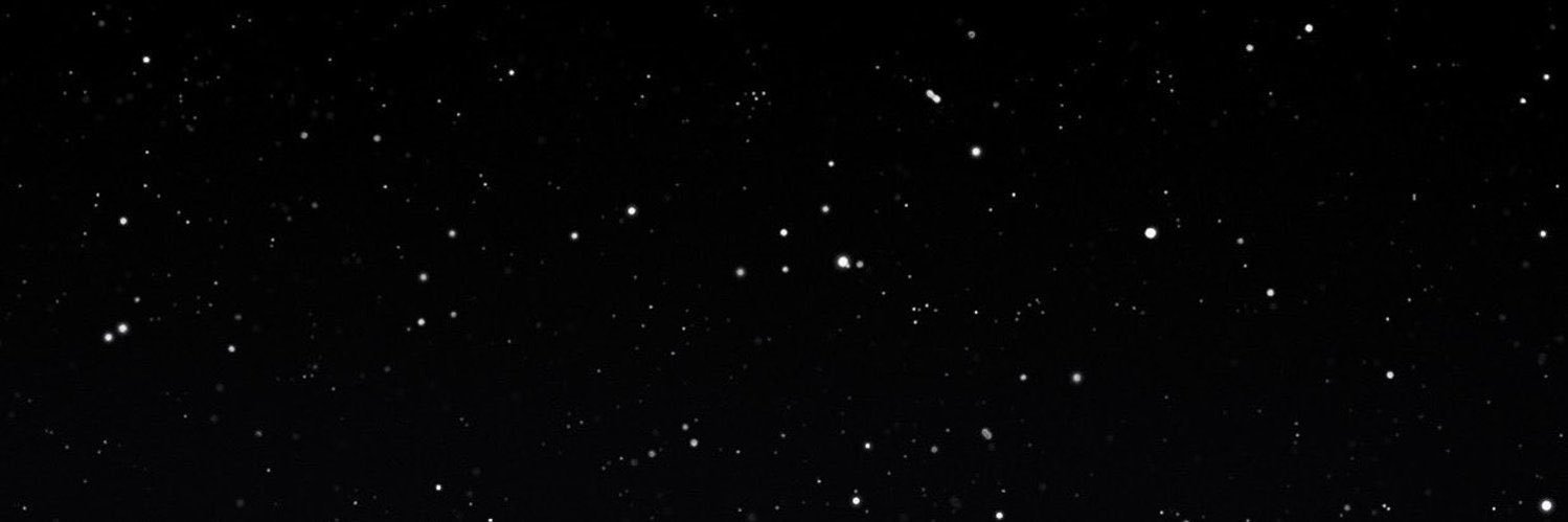 7 banner