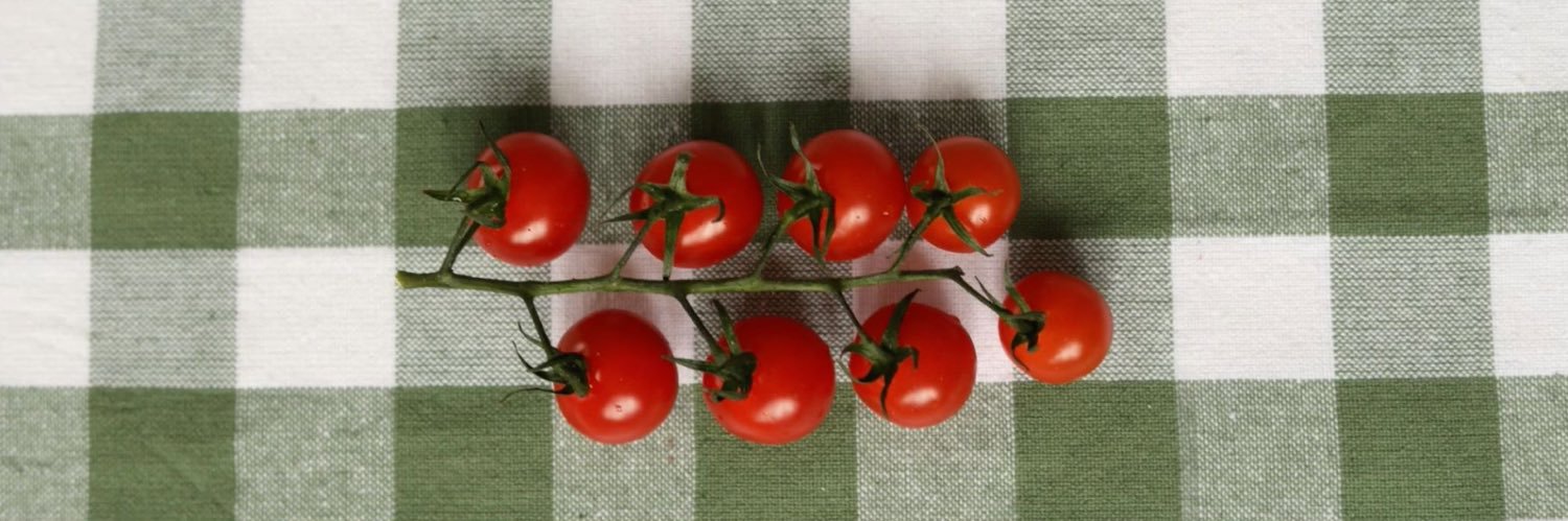 daisy!! 🔎🐇 ⋆｡𖦹°‧ ౨ৎ banner