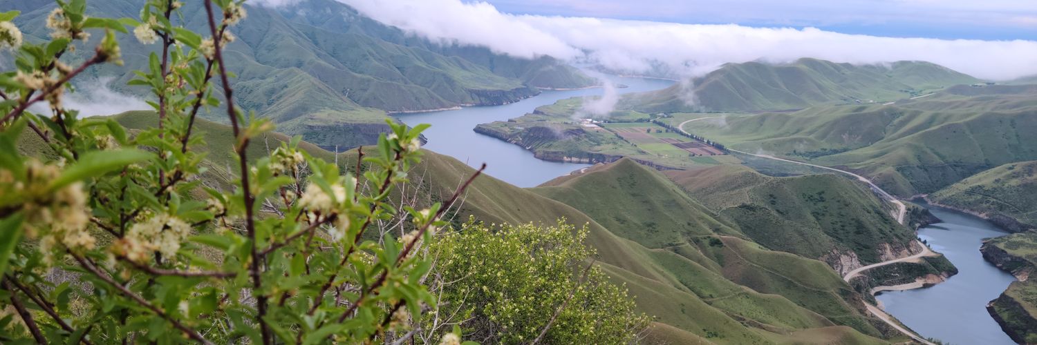 Brad Shepherd banner