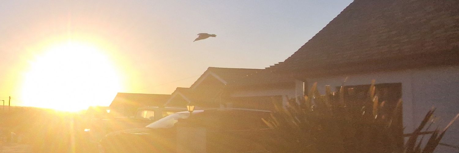 Gabie ✨️🌑 banner