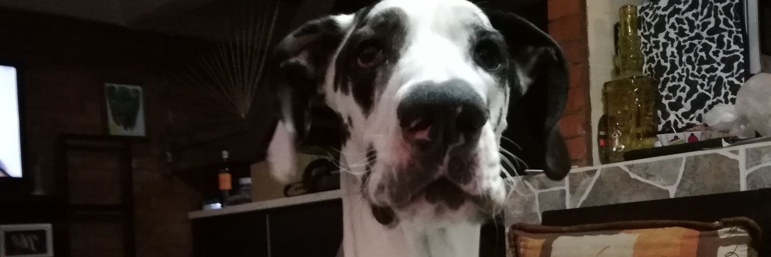 Eduardo Tapia banner