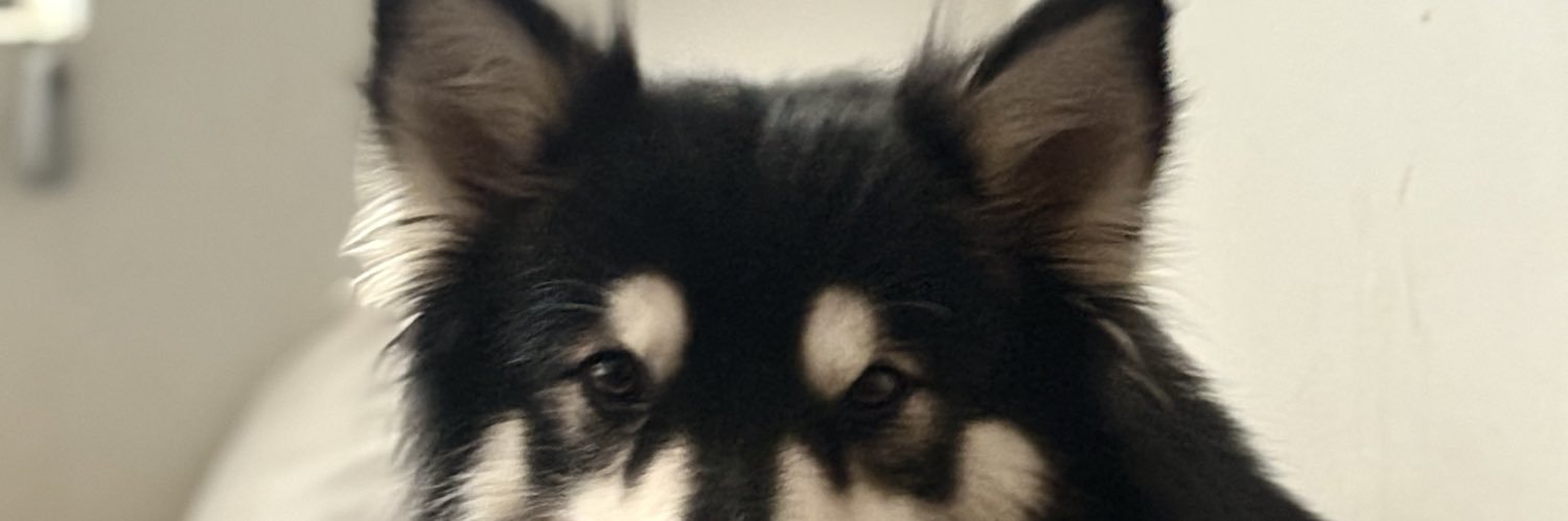 iamdiazced's profile banner image