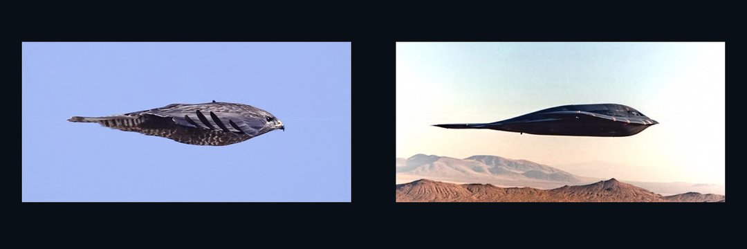 Zach_Whitehead's profile banner image