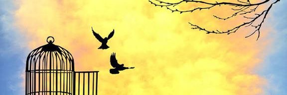 يوسف جو banner