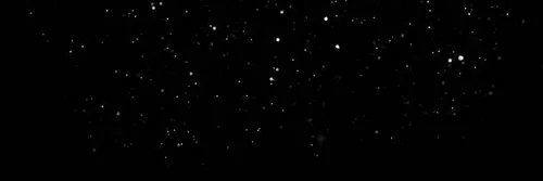 NebuliLabs's profile banner image