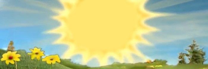E. banner