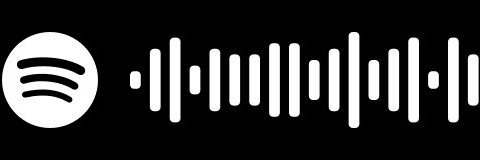 The Carry Nations Music banner