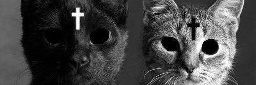 spookyaleee's profile banner image