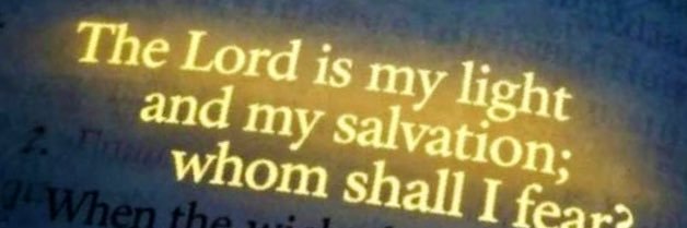 YXNG-EMMAX 🇨🇦 banner