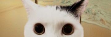 ketittk's profile banner image