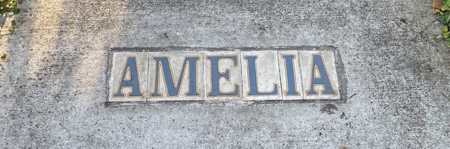 Amelia Matier banner