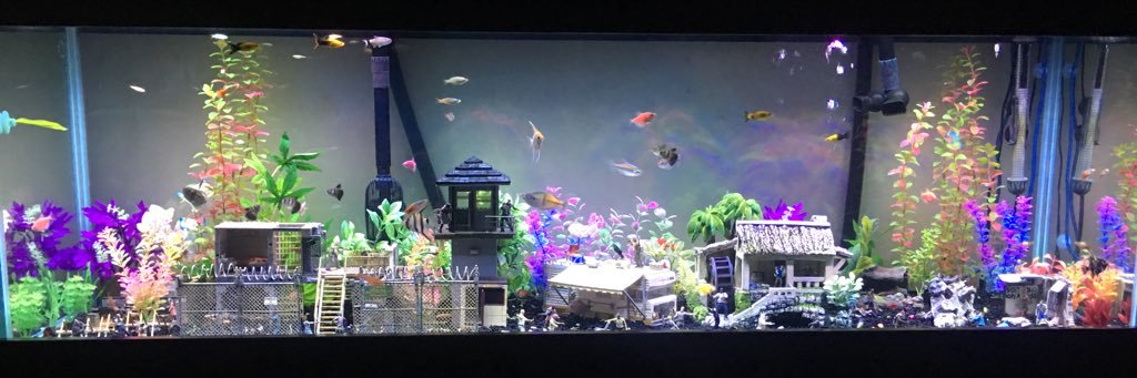 Harlem_Lotus's profile banner image