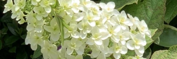 2010patasu1007's profile banner image
