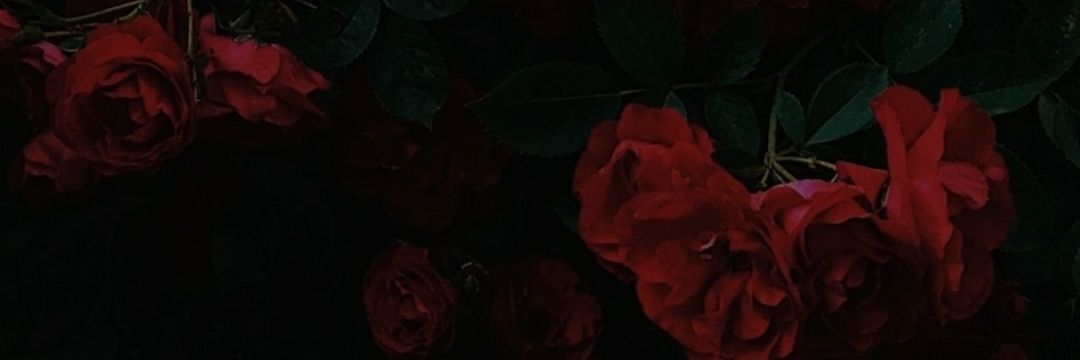 nadisnye's profile banner image