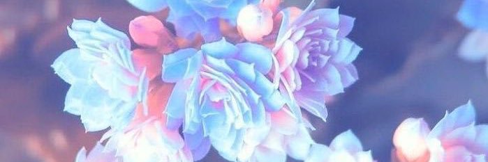 hellohill_'s profile banner image