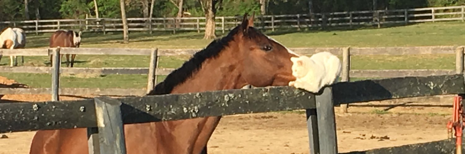 Affirmed10's profile banner image