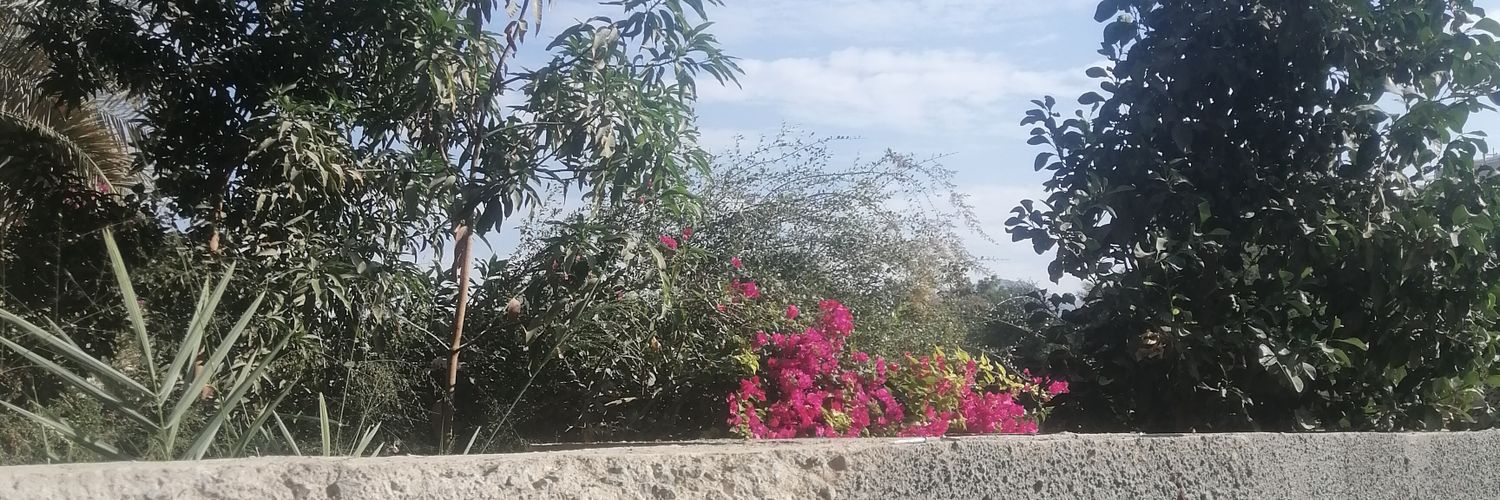 الهادئه banner